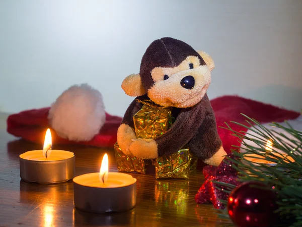 Candle tree monkey — Stock Photo, Image