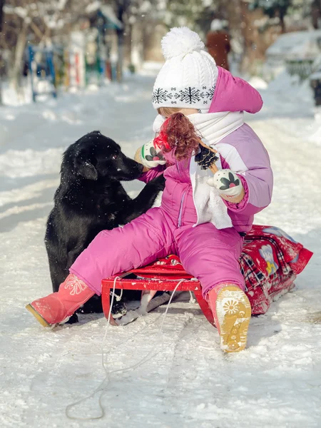 Köpek kar küçük kız — Stok fotoğraf