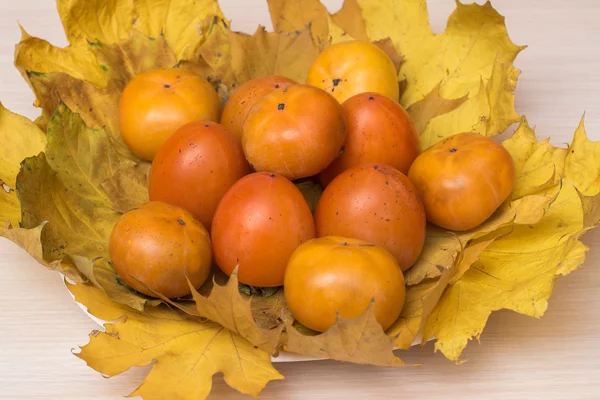 Persimmon leżącego na jesieni pozostawia — Zdjęcie stockowe