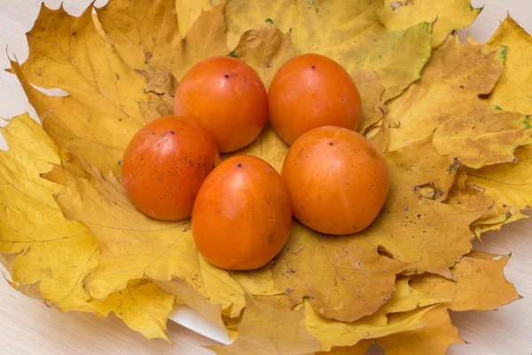 Persimmon leżącego na jesieni pozostawia — Zdjęcie stockowe