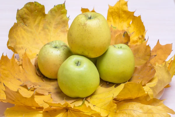 Jabłka leżącego na Jesienne liście — Zdjęcie stockowe