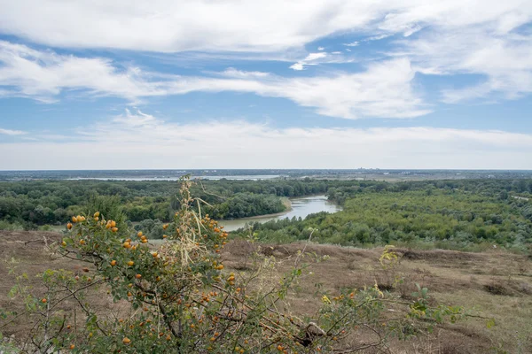 Річка ліс небо — стокове фото