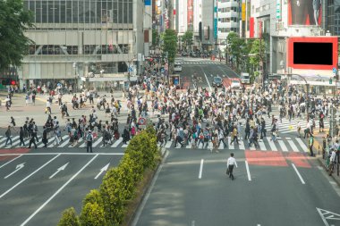 Tokyo, Japonya görünümü Shibuya uygularken, en yoğun crossw biri