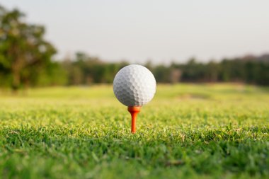 golf sahasına karşı bir tee Golf topu