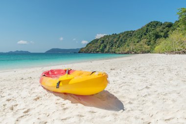 Yaz, seyahat, tatil ve tatil kavramı - renkli kayaks o