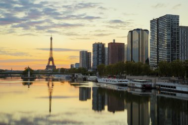Arka planda Eyfel Kulesi ile Paris manzarası