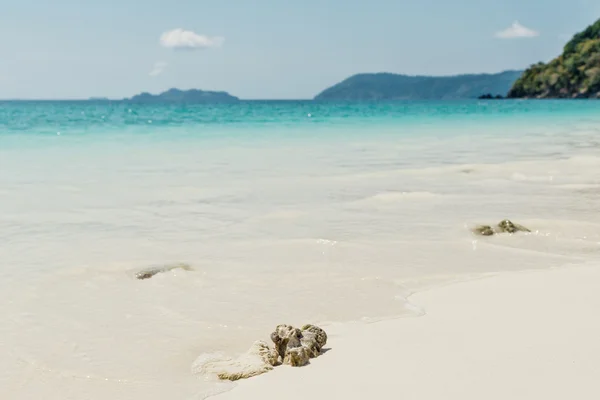 Sea beach blue sky sand sun daylight relaxation landscape viewpo — Stock Photo, Image