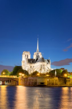 Paris, Fransa, manzarası - suns, Notre Dame de Paris Katedrali