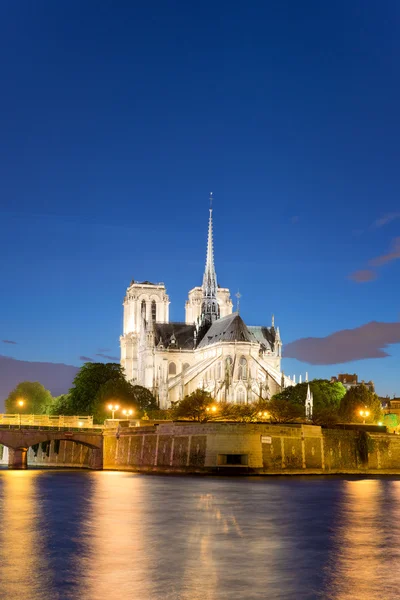 Parigi, Francia skyline - Cattedrale di Notre Dame de Paris ai soli — Foto Stock
