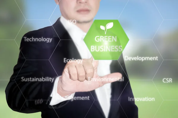 Green business concept - Business man working with virtual inter