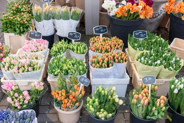 Many flower in flower market in Amsterdam, Netherlands. Flower m — Stock Photo, Image