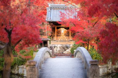 Eikando ya da Eikan-do Zenrinji türbesi bahçesi ve Japonya 'nın Kyoto kentinde Kasım ayı sonlarında en yüksek yaprak renginde kırmızı, sarı akçaağaç halılı bir köprü. Kansai 'de sonbahar yaprağı görmek çok meşhurdur.