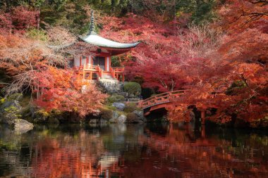 Japonya 'nın başkenti Kyoto' da, sonbahar mevsiminde Daigoji Tapınağı 'nda gölet ve renk değişimine sahip kırmızı pagoda ve kırmızı köprü. Japonya turizmi, doğa hayatı veya manzara en çok ziyaret edilen turizm konsepti