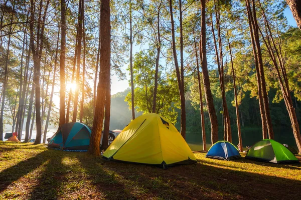 Dome tents in pine forest beside the lake in the mist at sunrise at Pang Ung (Pang Tong reservoir), Mae Hong Son province near Chiang Mai, Thailan