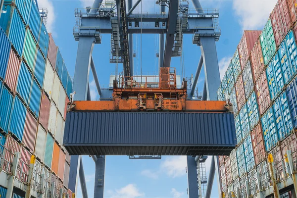 Shore crane lifts container during cargo operation in port — Stock Photo, Image