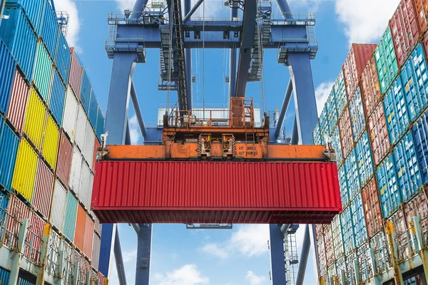 Shore crane lifts container during cargo operation in port — Stock Photo, Image