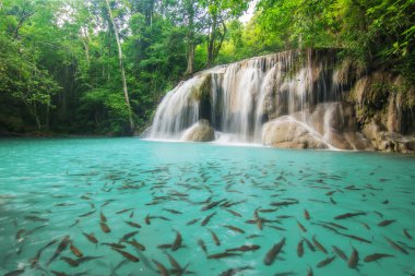 İki Erawan şelale il Kanchanaburi, Tayland için seviye