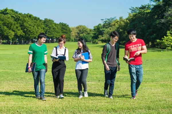 Grupo feliz de estudantes caminhando e conversando no parque — Fotografia de Stock