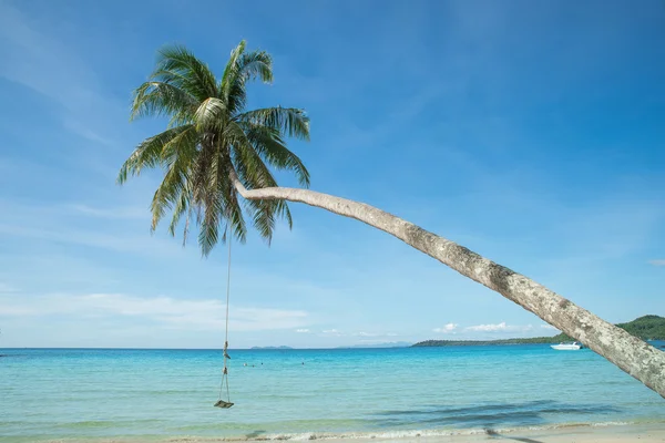 在海滩的椰子树，秋千挂 — 图库照片