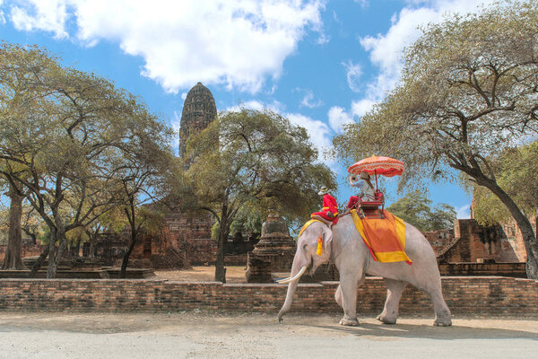 Tourist on elephant sightseeing in Ayutthaya Historical Park, Ay
