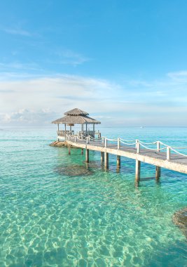 Yaz, seyahat, tatil ve tatil kavramı - tropikal kulübe ve 