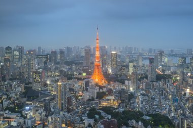 View of Tokyo Skyline Tokyo, Japan. clipart