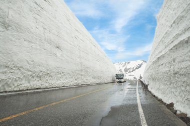 Tateyama Kurobe Alp rota, Toyama İli, Japonya
