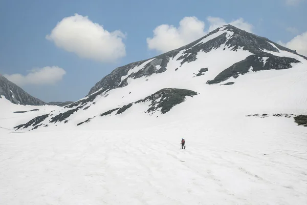 Vista posteriore dello sciatore che cammina tra le montagne innevate, Giappone — Foto Stock