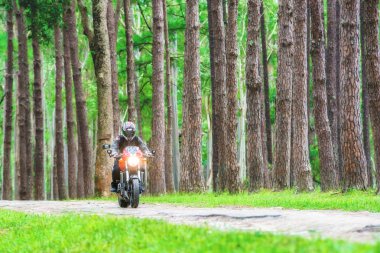 Man riding motorcycle in forest