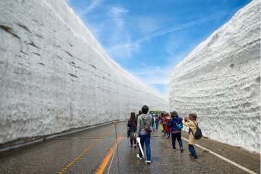 Tateyama Kurobe Alp rota, Toyama İli, Japonya