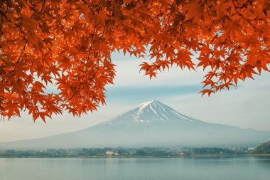 Mt. Fuji with fall colors in Japan clipart
