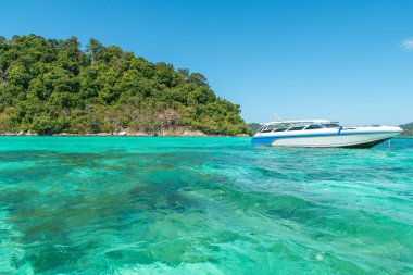 Yaz, seyahat, tatil ve tatil kavramı - sürat teknesi Cora