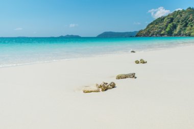 Güzel sahil ve tropikal deniz