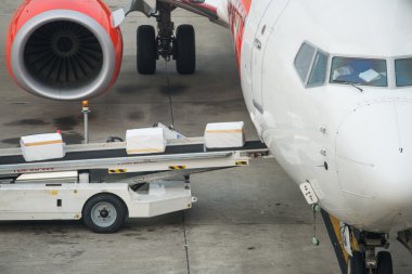 Bagaj bir düzlemde bir Havaalanı içine yükleme