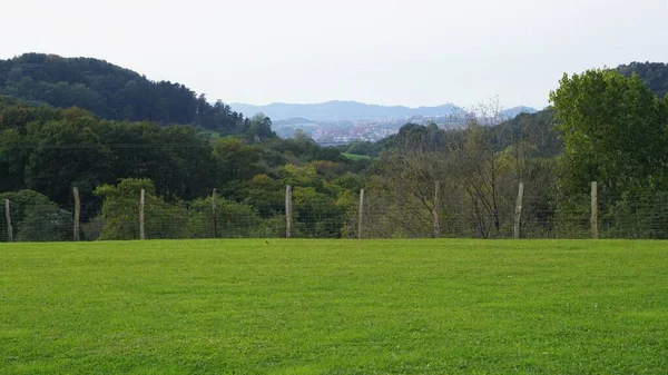 Paisaje Jardín Con Césped Verde País Vasco España —  Fotos de Stock