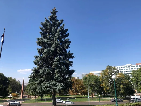 Denver Colorado Usa Října 2020 Památník Padlým Denveru Coloradu — Stock fotografie