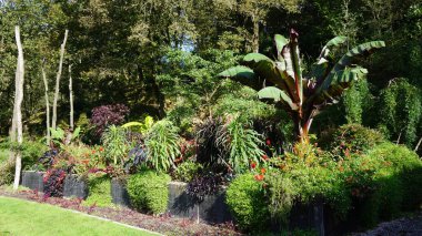 Güneşli bir sonbahar sabahında Gipuzkoa, Bask ülkesinde bir bahçe manzarası