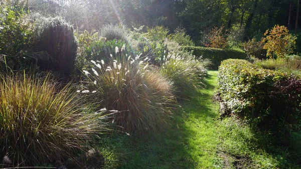 Landscape Garden Gipuzkoa Basque Country Sunny Autumn Morning — Stock Photo, Image