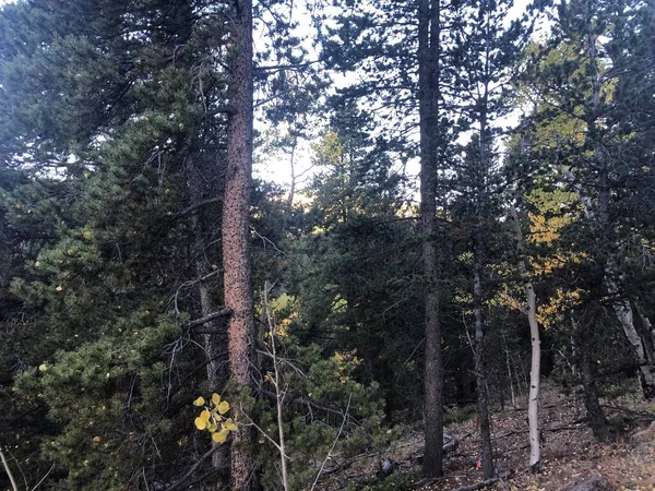 コロラド州のゴールデンゲート州立公園で秋の木々や山々のカラフルな風景 — ストック写真