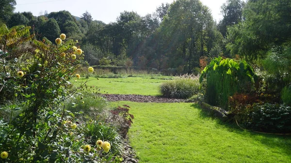 Paysage Jardin Plantes Arbres Pays Basque — Photo