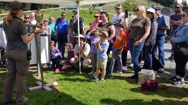 Vancouver, Kanada, 2 Haziran 2019: Kanada 'da bir Vancouver dağ ve kayak merkezinde bir kuş gösterisinde turist aileleri