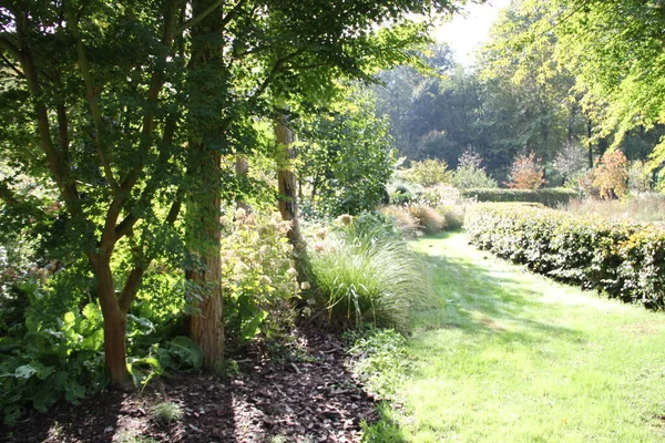 Herbstlandschaft Mit Pflanzen Blumen Bäumen Und Gras Einem Garten Baskenland — Stockfoto