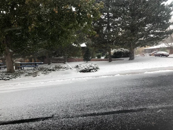 美国科罗拉多州金 2020年10月26日 美国科罗拉多州金 第一场雪景 — 图库照片