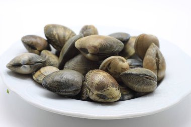 Beyaz arkaplanda Taze Midyeler