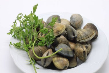 Beyaz arka planda maydanozlu taze midyeler