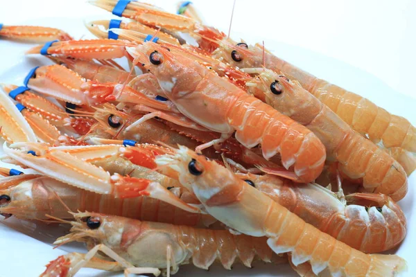 live crawfish on a tray with a blue gum on the tweezers on white background