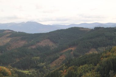 Ağaçların ve dağların kırsal manzarası İspanya 'nın Bask ülkesinde karanlık bir sonbahar öğleden sonrası