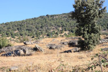 Sierra de Madrid, Madrid Topluluğu, İspanya 'daki ağaçların ve dağların kırsal manzarası.