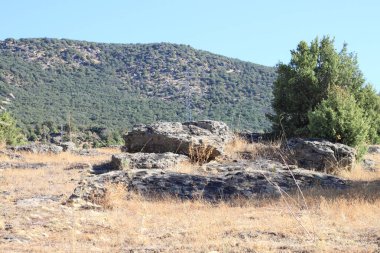 Sierra de Madrid, Madrid Topluluğu, İspanya 'daki ağaçların ve dağların kırsal manzarası.