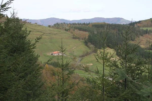 Paisaje Rural Árboles Montañas Una Tarde Oscura Otoño País Vasco —  Fotos de Stock
